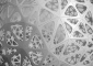 Constellation - detail