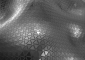 Amun - detail
