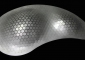 xurf-kidney-small-2005